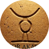 Avatar kompanije
